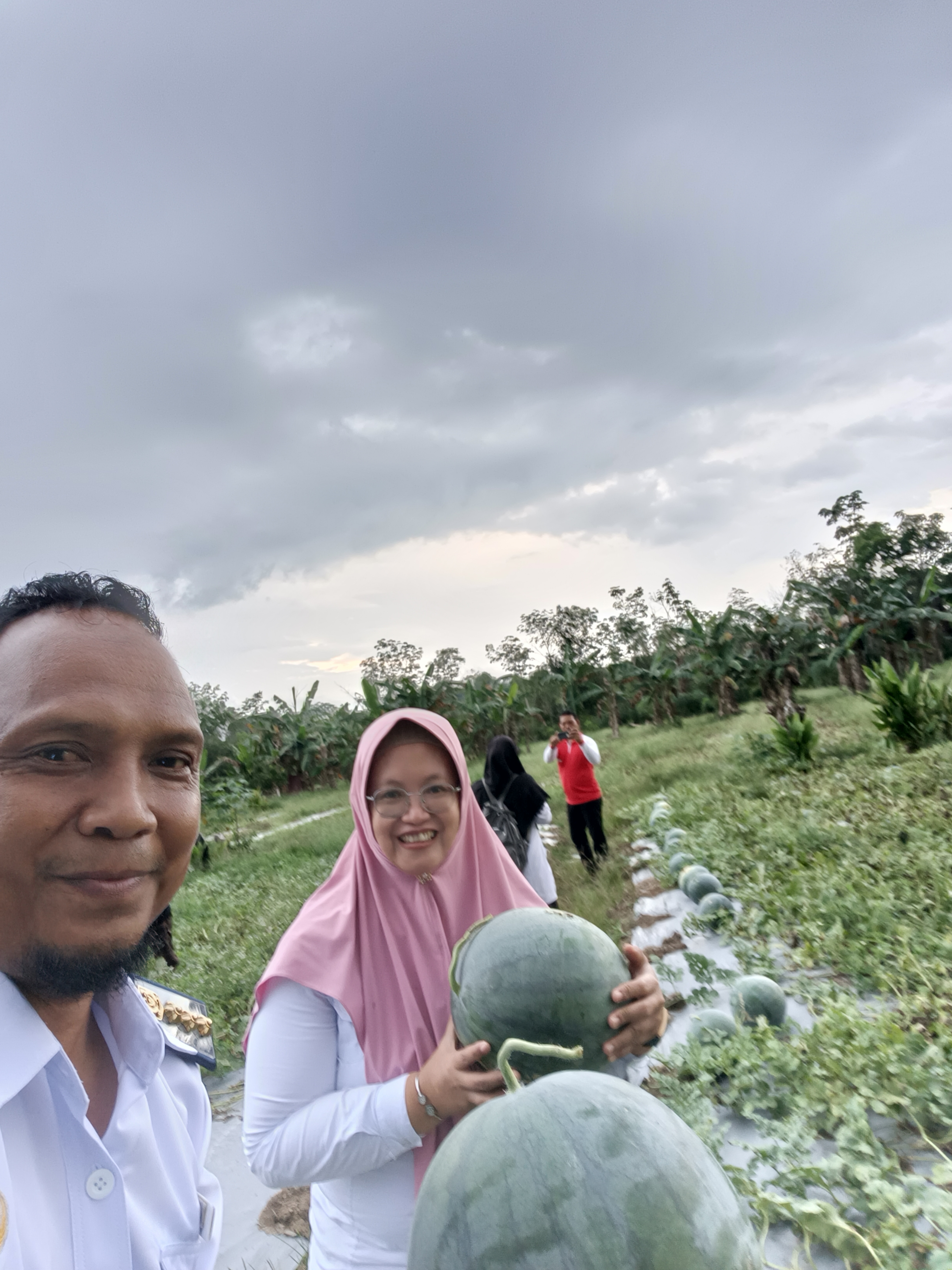 Berita
